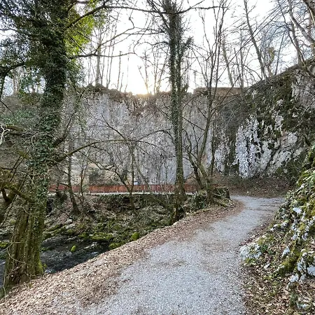 Cerne